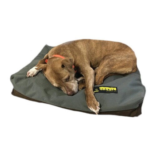Organic Dog Bed (Size: Medium)