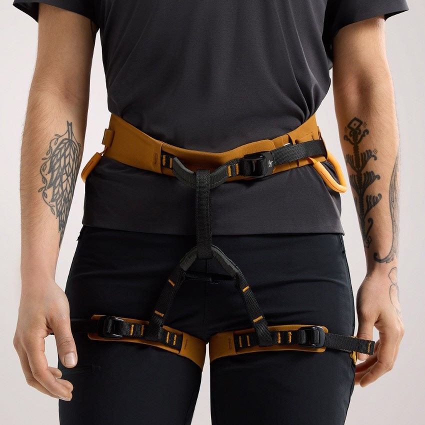 Arcteryx ar 385a online