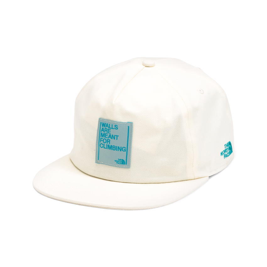 The North Face Embroidered Earthscape 