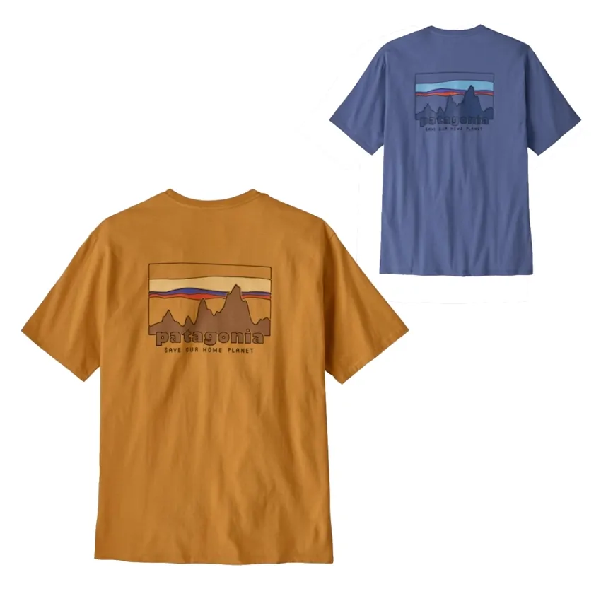 patagonia SHINETSU FIVE MOUNTAINS Tシャツ Women's '73 Skyline Easy-Cut Responsibili-Tee(S(WOMEN) RNSG