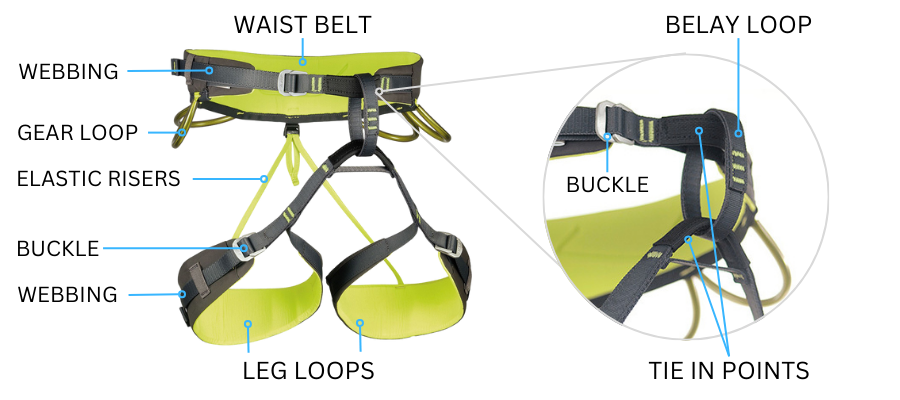 Harness Anatomy