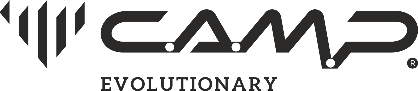 CAMP Logo