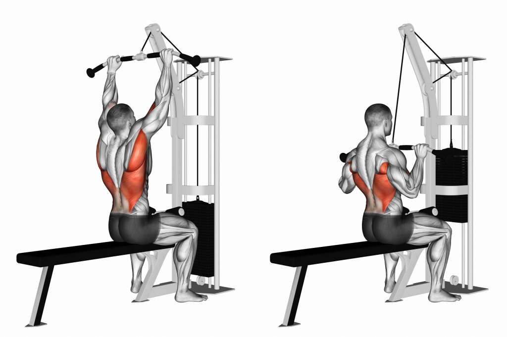 Lat Pull Downs