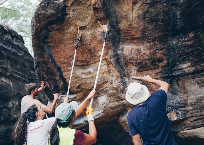 climbers brushing sloper dan