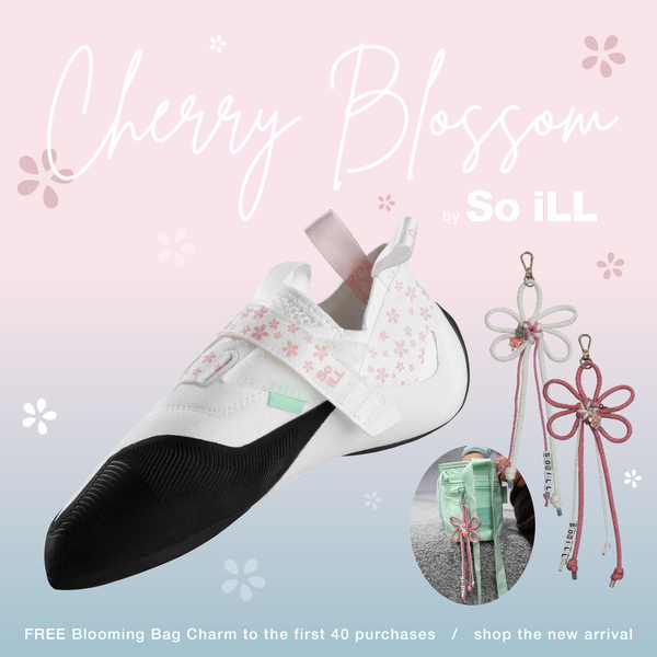 Cherry Blossom - mobile