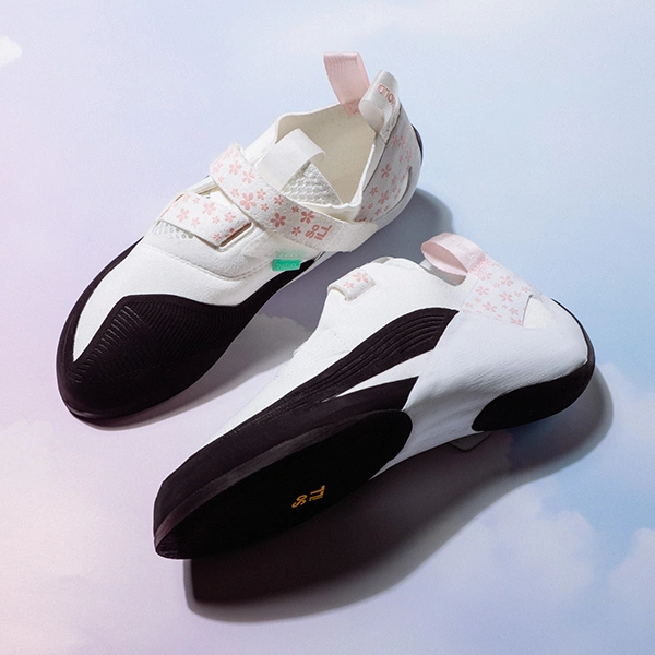 Bloom with a Step