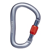 Black Diamond RockLock Screwgate Carabiner - Grey