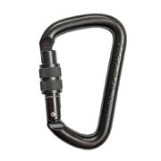 C.A.M.P. 1877 Steel D Screw Gate - Black