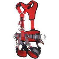 C.A.M.P. GT Turbo Full Body harness (Size: Small-Large)