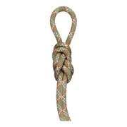 Mammut 9.5 Gym Classic Rope (Colour: Boa/Wht, Size: 50 m)