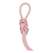 Mammut 9.9 Gym Workhorse Classic Rope (Colour: Candy, Length: 30m)