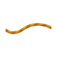Mammut 10.0 Performance Static  Price/Metre (Colour: Yellow/Black)