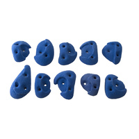 Metolius PU Blue Ribbon Screw on Hand Holds - 10 Pack
