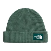 The North Face Salty Lined Beanie (Colour: Duck Green/Deep Nori)