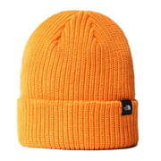 The North Face TNF™ Fisherman Recycled Beanie (Colour: Cone Orange)