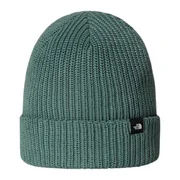 The North Face TNF Fisherman Beanie (Colour: Duck Green)