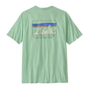 Patagonia Men's '73 Skyline Organic T-Shirt (Colour: Rinsed Green, Size: Extra Small)