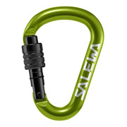 Salewa HMS G2 Medium Screw Gate - Fluro Green/Black