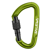 Salewa Hot G3 Screw Gate - Green