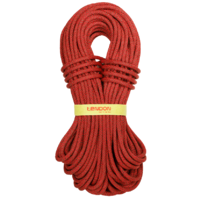 Tendon Ambition 10 Standard (Colour: Red, Length: 70m)
