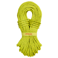 Tendon Ambition 9.8 Standard - 200m Spool