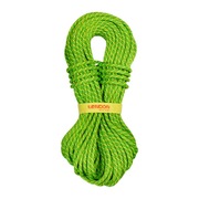 Tendon Ambition 9.8 Standard (Colour: Green, Length: 60m)