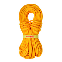 Tendon Ambition TeFIX 10.2 60m Standard (Colour: Yellow)