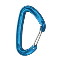 Wild Country Wildwire Carabiner - Blue