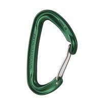 Wild Country Wildwire Carabiner - Green