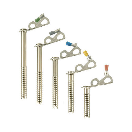 Black Diamond Express Ice Screw