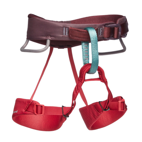 Black Diamond Momentum Kid's Harness - Wild Rose