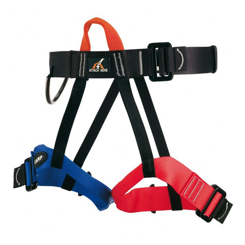 CAMP Group II Harness