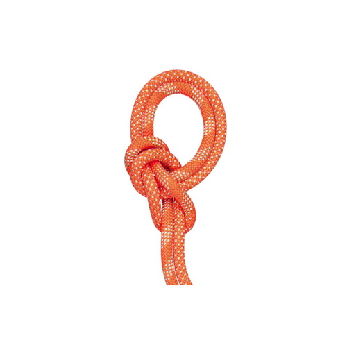 Mammut 9.8 Crag Classic Rope - Bicolour