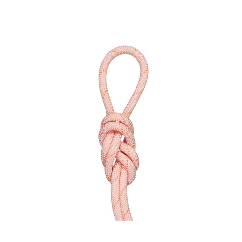 Mammut 9.9 Gym Workhorse Classic Rope