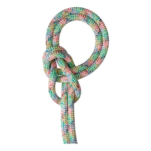 Mammut 9.5 Crag We Care Dry Rope - Assorted Colours