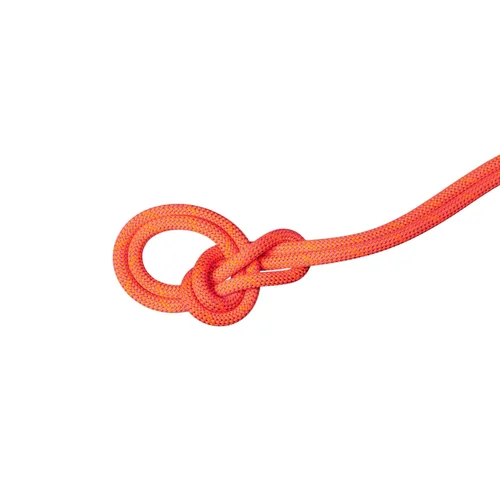 Mammut 9.8 Crag Dry Rope