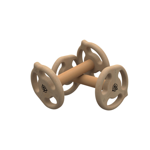 Rustam Dumbell Paralettes