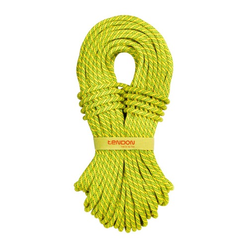 Tendon Ambition 9.8 Standard 30m 