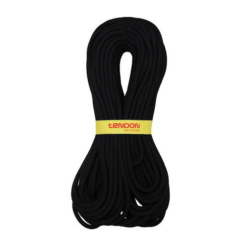 Tendon Ambition 9.8 Standard Black