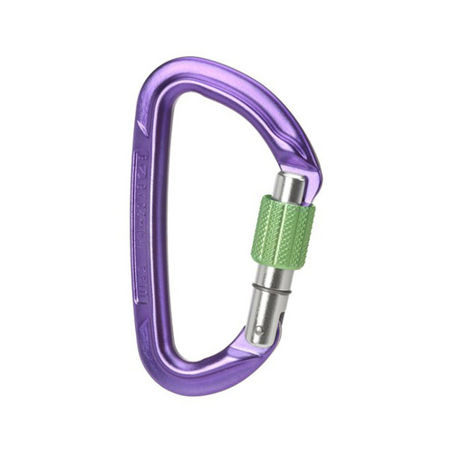 Wild Country Session Screw Gate - Purple/Green